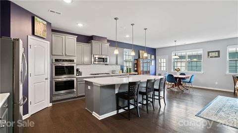 16607 Stonecutter Ln, Davidson, NC 28036 photo 7
