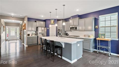 16607 Stonecutter Ln, Davidson, NC 28036 photo 8
