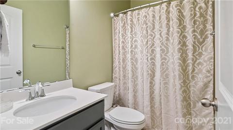 16607 Stonecutter Ln, Davidson, NC 28036 photo 16