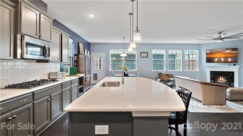 16607 Stonecutter Ln, Davidson, NC 28036 photo 9
