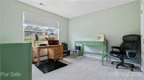 16607 Stonecutter Ln, Davidson, NC 28036 photo 26