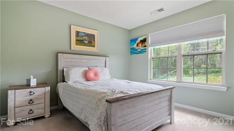 16607 Stonecutter Ln, Davidson, NC 28036 photo 24