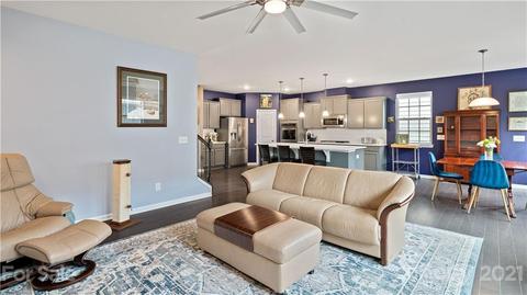 16607 Stonecutter Ln, Davidson, NC 28036 photo 13
