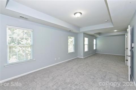 10798 Traders Ct, Davidson, NC 28036 photo 21