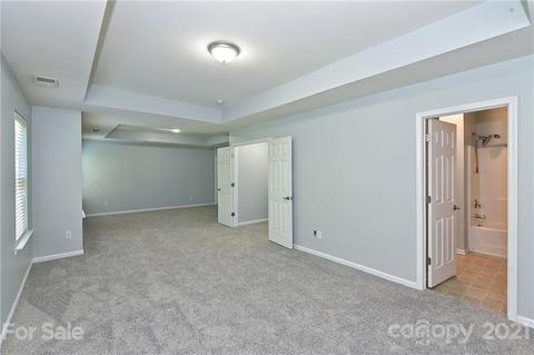 10798 Traders Ct, Davidson, NC 28036 photo 22