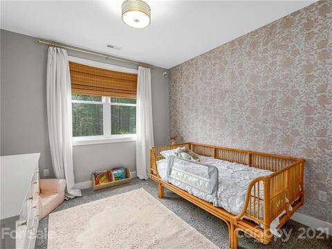 159 Mcdowell Rd, Mills River, NC 28759 photo 25