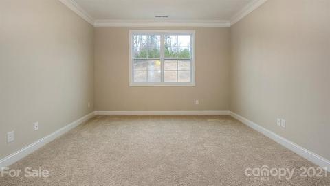 4378 Riverton Loop, Denver, NC 28037 photo 17