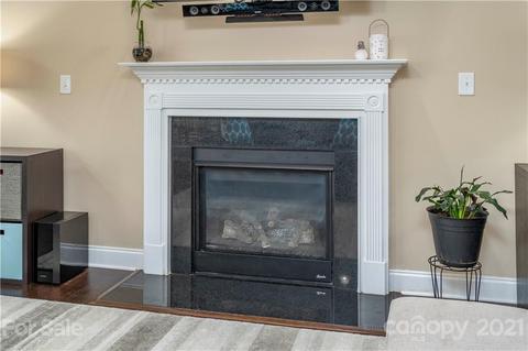513 Daventry Ct, Clover, SC 29710 photo 17