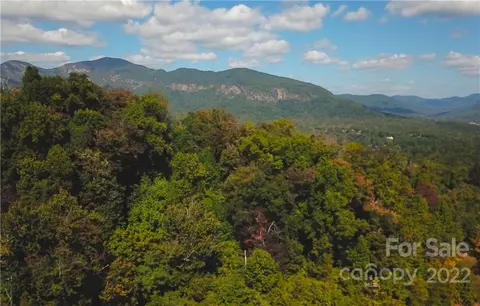 53 Bear Cliff 53 Way #53, Lake Lure, NC 28746