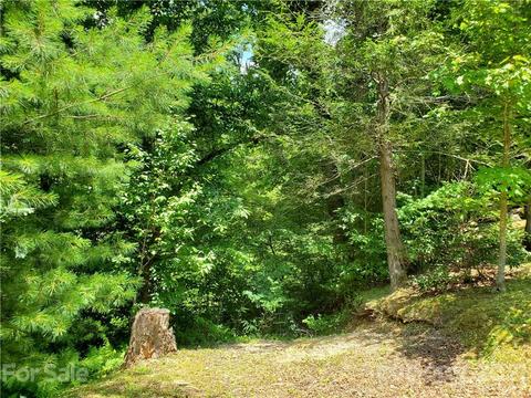 263 Long Ridge Rd, Brevard, NC 28712 photo 1