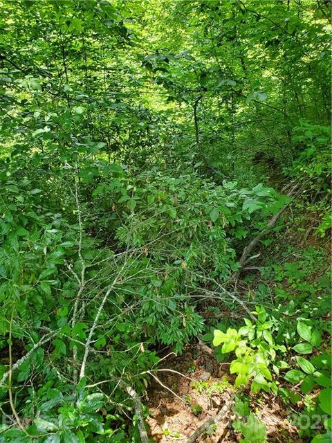 263 Long Ridge Rd, Brevard, NC 28712 photo 5