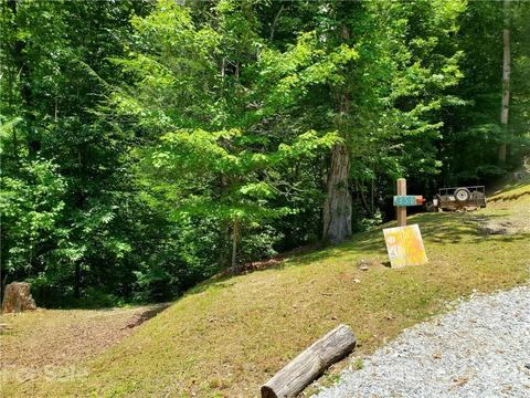 263 Long Ridge Rd, Brevard, NC 28712 photo 2