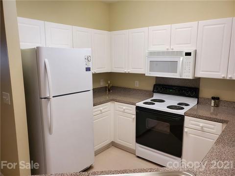 525 Southeast Dr, Davidson, NC 28036 photo 19