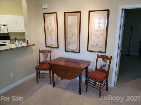 525 Southeast Dr, Davidson, NC 28036 photo 35