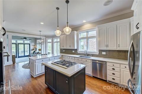 18731 River Falls Dr, Davidson, NC 28036 photo 3