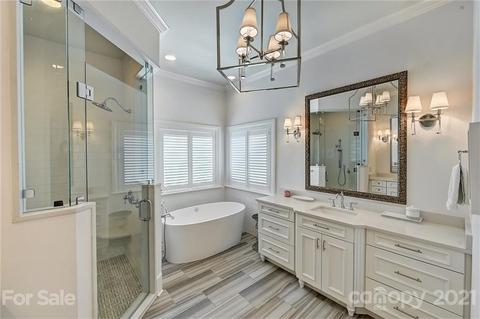 18731 River Falls Dr, Davidson, NC 28036 photo 21