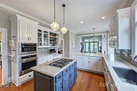 18731 River Falls Dr, Davidson, NC 28036 photo 15