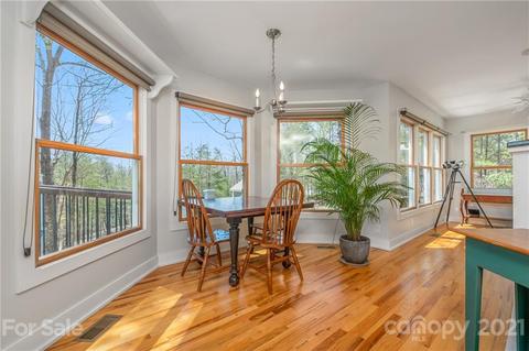 658 S Cove Rd, Mill Spring, NC 28756 photo 14