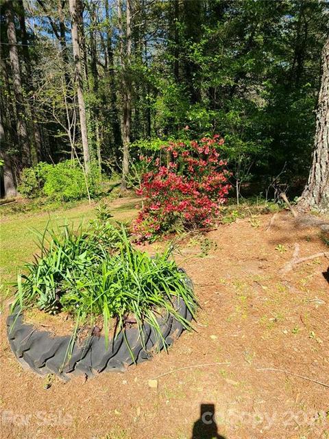116 Glengary Dr, Flat Rock, NC 28731 photo 26