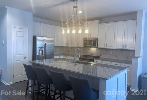 20577 Harbor View Dr, Cornelius, NC 28031 photo 4