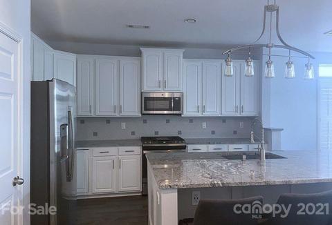 20577 Harbor View Dr, Cornelius, NC 28031 photo 3