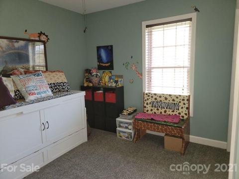 274 Snelson Rd, Alexander, NC 28701 photo 9