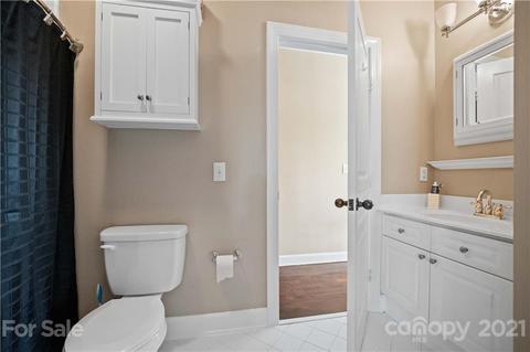 17535 Springwinds Dr, Cornelius, NC 28031 photo 39