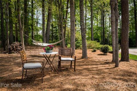 606 Davidson Run Ln, Davidson, NC 28036 photo 6
