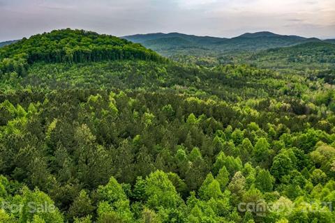 740 N Fork Rd, Bostic, NC 28018 photo 9