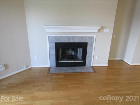 18739 Vineyard Point Ln, Cornelius, NC 28031 photo 9