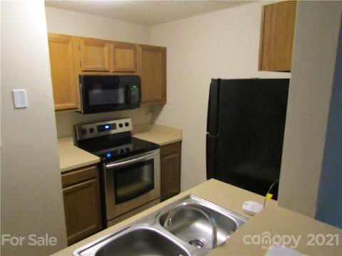 18739 Vineyard Point Ln, Cornelius, NC 28031 photo 10