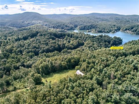 360 Camp Windy Wood Rd, Zirconia, NC 28790
