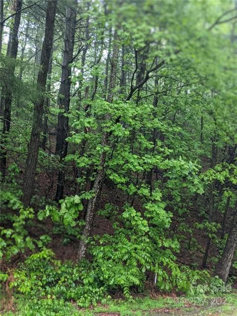 0 Melrose Mountain Rd #513, Tryon, NC 28782