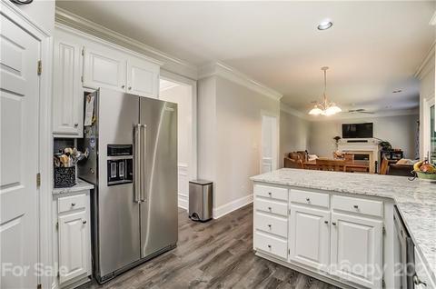 19100 Spring Blossom Ln, Cornelius, NC 28031 photo 18