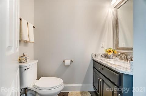 19100 Spring Blossom Ln, Cornelius, NC 28031 photo 23