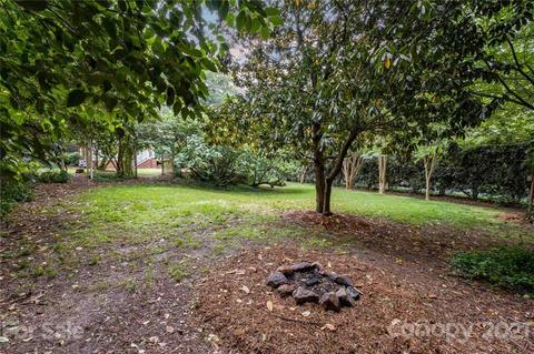 858 Concord Rd, Davidson, NC 28036 photo 44