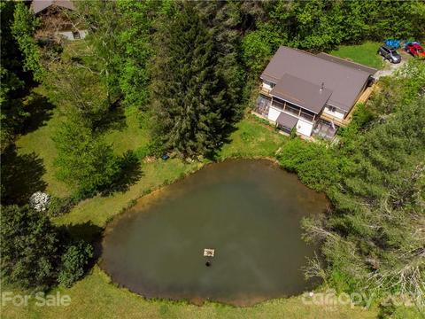 65 Pine Meadow Dr, Brevard, NC 28712 photo 8