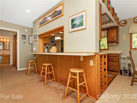 65 Pine Meadow Dr, Brevard, NC 28712 photo 18
