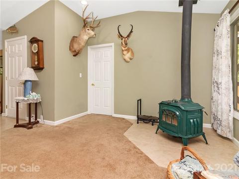 65 Pine Meadow Dr, Brevard, NC 28712 photo 21
