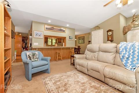 65 Pine Meadow Dr, Brevard, NC 28712 photo 22