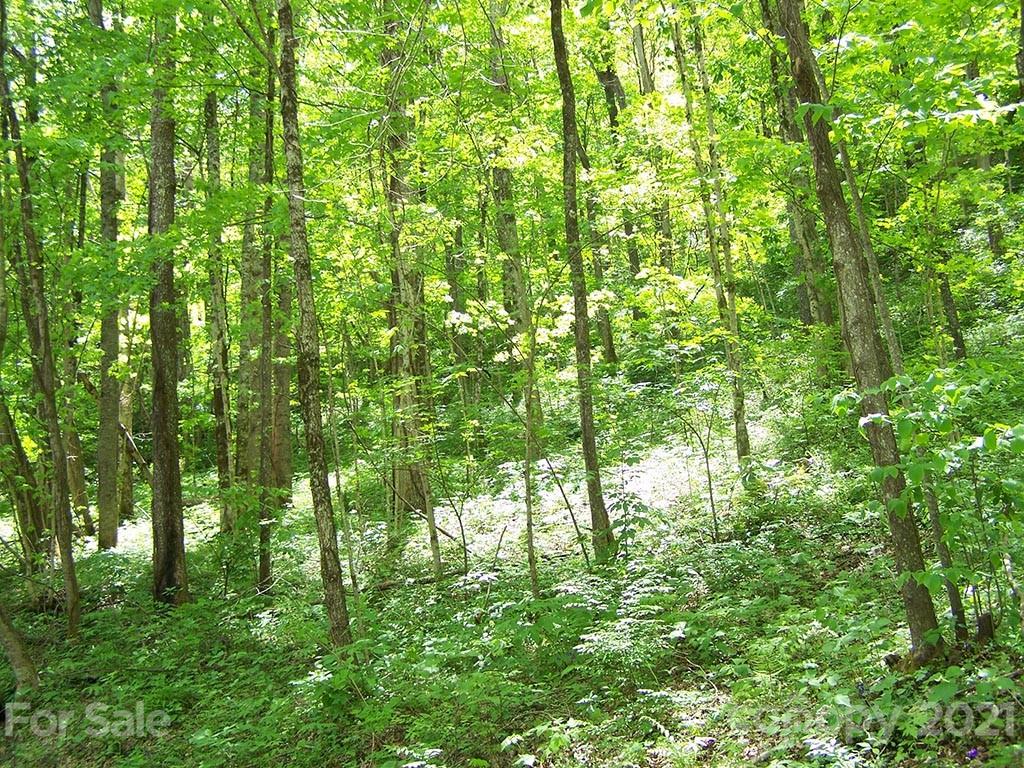 7 Chestnut Flats Rd Unit 7A  