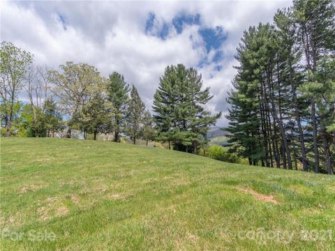 88 Dandelion Dr, Clyde, NC 28721 photo 25