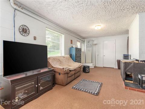 88 Dandelion Dr, Clyde, NC 28721 photo 20