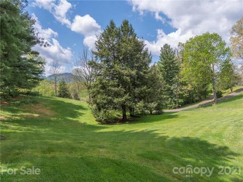 88 Dandelion Dr, Clyde, NC 28721 photo 28