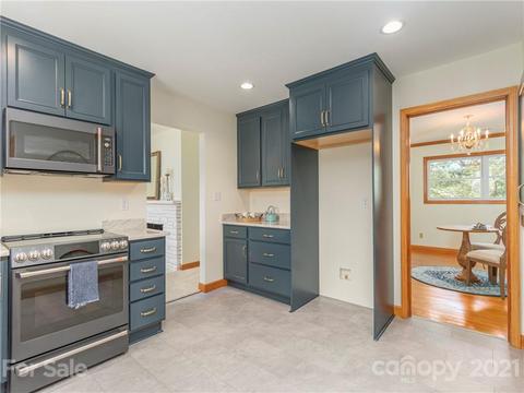 88 Dandelion Dr, Clyde, NC 28721 photo 10