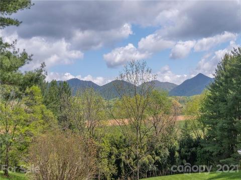 88 Dandelion Dr, Clyde, NC 28721 photo 27