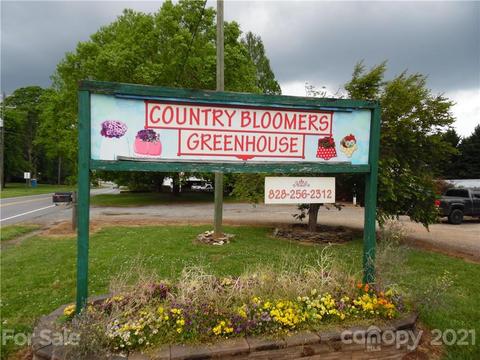 4462 County Home Rd, Conover, NC 28613 photo 10