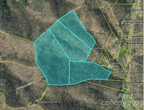 99999 Lower Bailey Branch Rd, Mars Hill, NC 28754