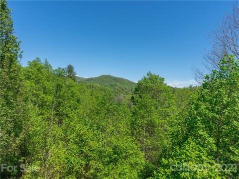 657 Sprinkle Branch Rd, Marshall, NC 28753 photo 34