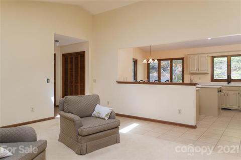 101 Greenleaf Dr, Flat Rock, NC 28731 photo 13